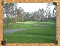 OUT-No.8のティーグランドからの画像